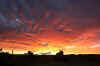 december2008sunset029.jpg (40479 bytes)
